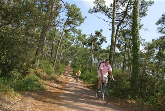 Vélodyssée, cycloroute, Côte de Beauté - Camping de Bernezac