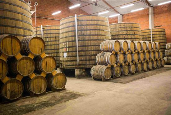 Pineaux des Charentes, Cognac - Camping de Bernezac