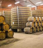 Pineaux des Charentes, Cognac - Camping de Bernezac