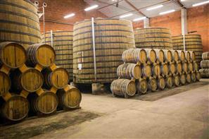 Pineaux des Charentes, Cognac - Camping de Bernezac