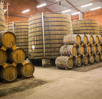 Pineaux des Charentes, Cognac - Camping de Bernezac