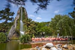 Zoo de La Palmyre, Charentes Maritime - Camping de Bernezac
