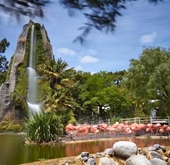 Zoo de La Palmyre, Charentes Maritime - Camping de Bernezac